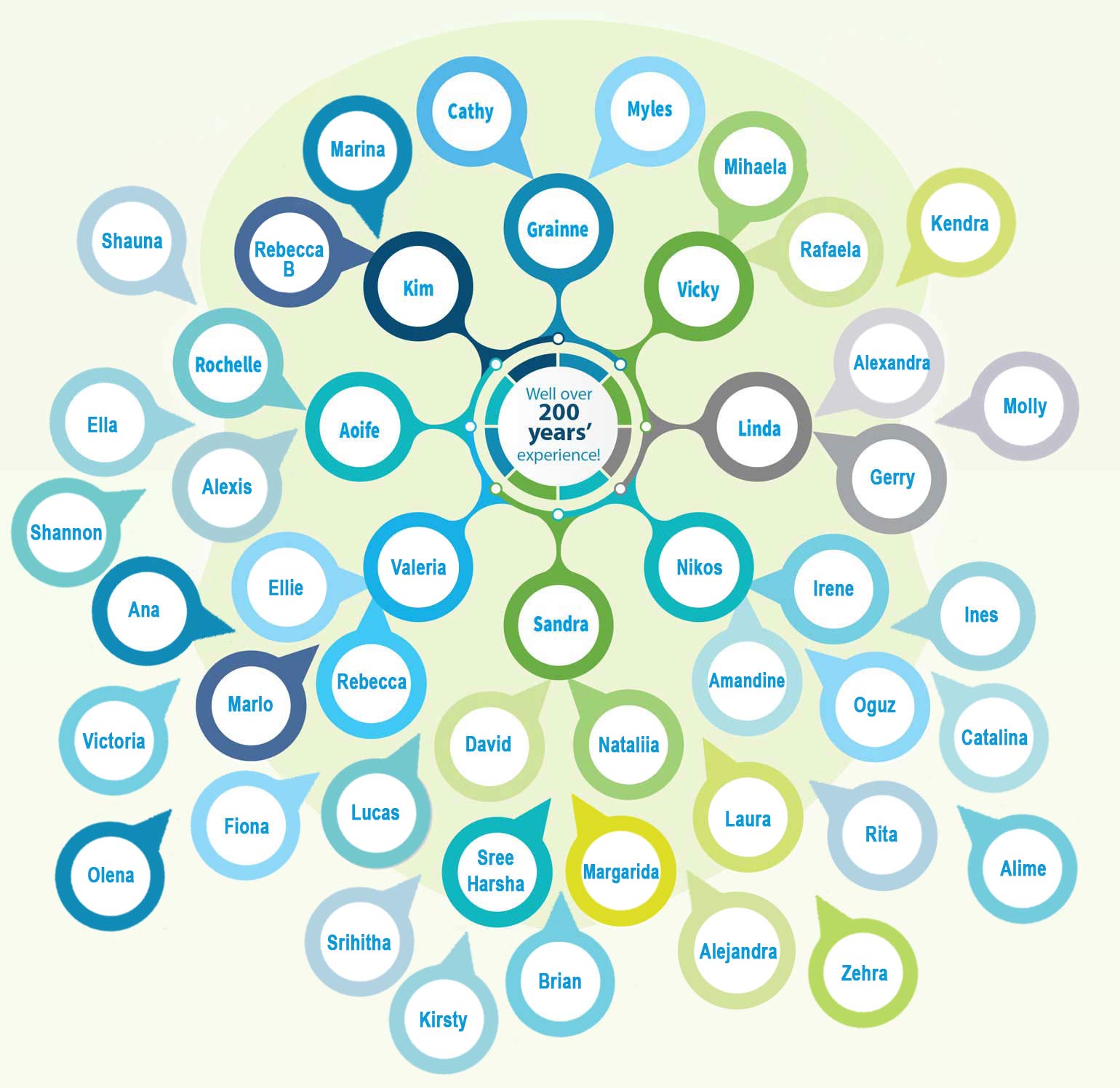 Our Team members graph